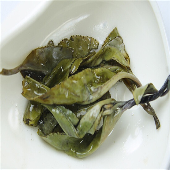 Large Leaf Kuding Tea